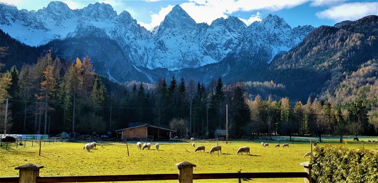 Mountain Peaks Apartment With Sauna ゴズ・マルチュリェク エクステリア 写真