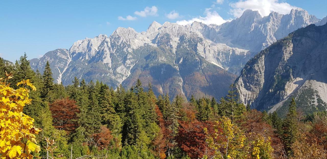 Mountain Peaks Apartment With Sauna ゴズ・マルチュリェク エクステリア 写真